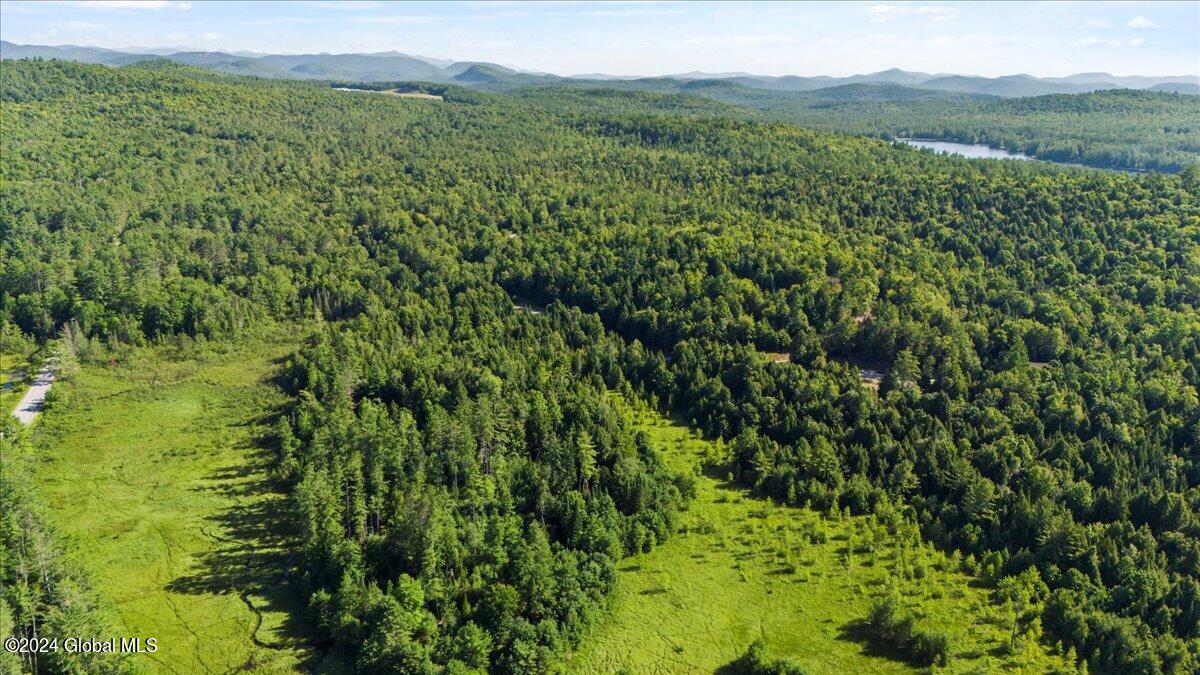 3-4 Adirondack Heights Road Chestertown, NY 12817 - Photo 26 of 33 09-DJI_20240719090921_0162_D