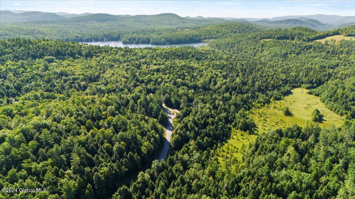 3-4 Adirondack Heights Road Chestertown, NY 12817 - Photo 28 of 33 13-DJI_20240719091046_0174_D