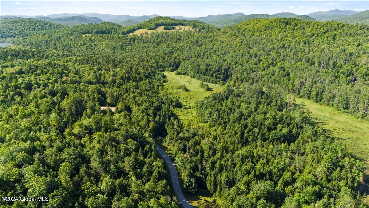 3-4 Adirondack Heights Road Chestertown, NY 12817 - Photo 30 of 33 16-DJI_20240719091140_0183_D