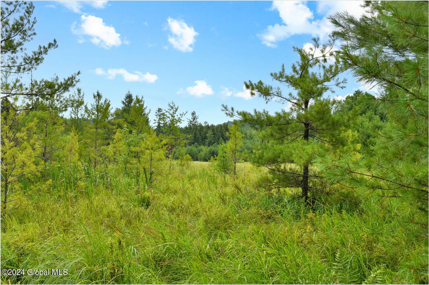 3-4 Adirondack Heights Road Chestertown, NY 12817 - Photo 3 of 33 tt18