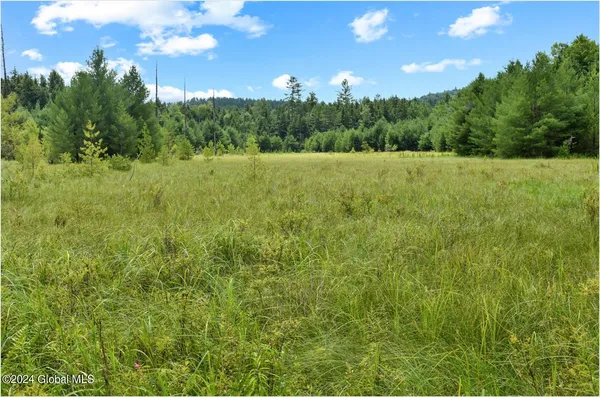 $89,500 | 3-4 Adirondack Heights Road, Chestertown, NY 12817