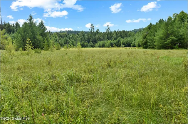 $89,500 | 3-4 Adirondack Heights Road, Chestertown, NY 12817