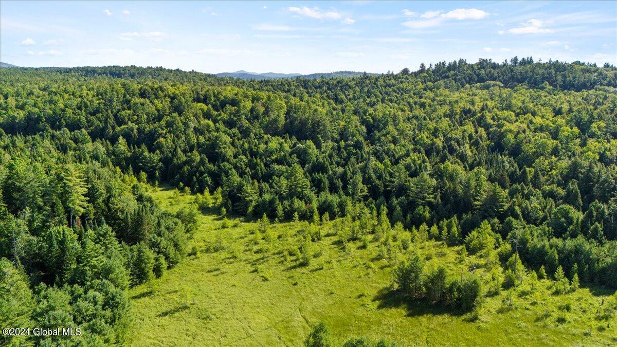 3-4 Adirondack Heights Road Chestertown, NY 12817 - Photo 33 of 33 19-DJI_20240719091358_0192_D