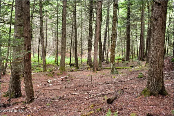 $89,500 | 3-4 Adirondack Heights Road, Chestertown, NY 12817