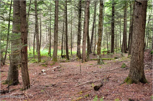 $89,500 | 3-4 Adirondack Heights Road, Chestertown, NY 12817