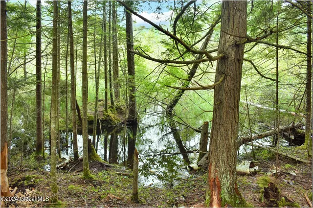 $89,500 | 3-4 Adirondack Heights Road, Chestertown, NY 12817