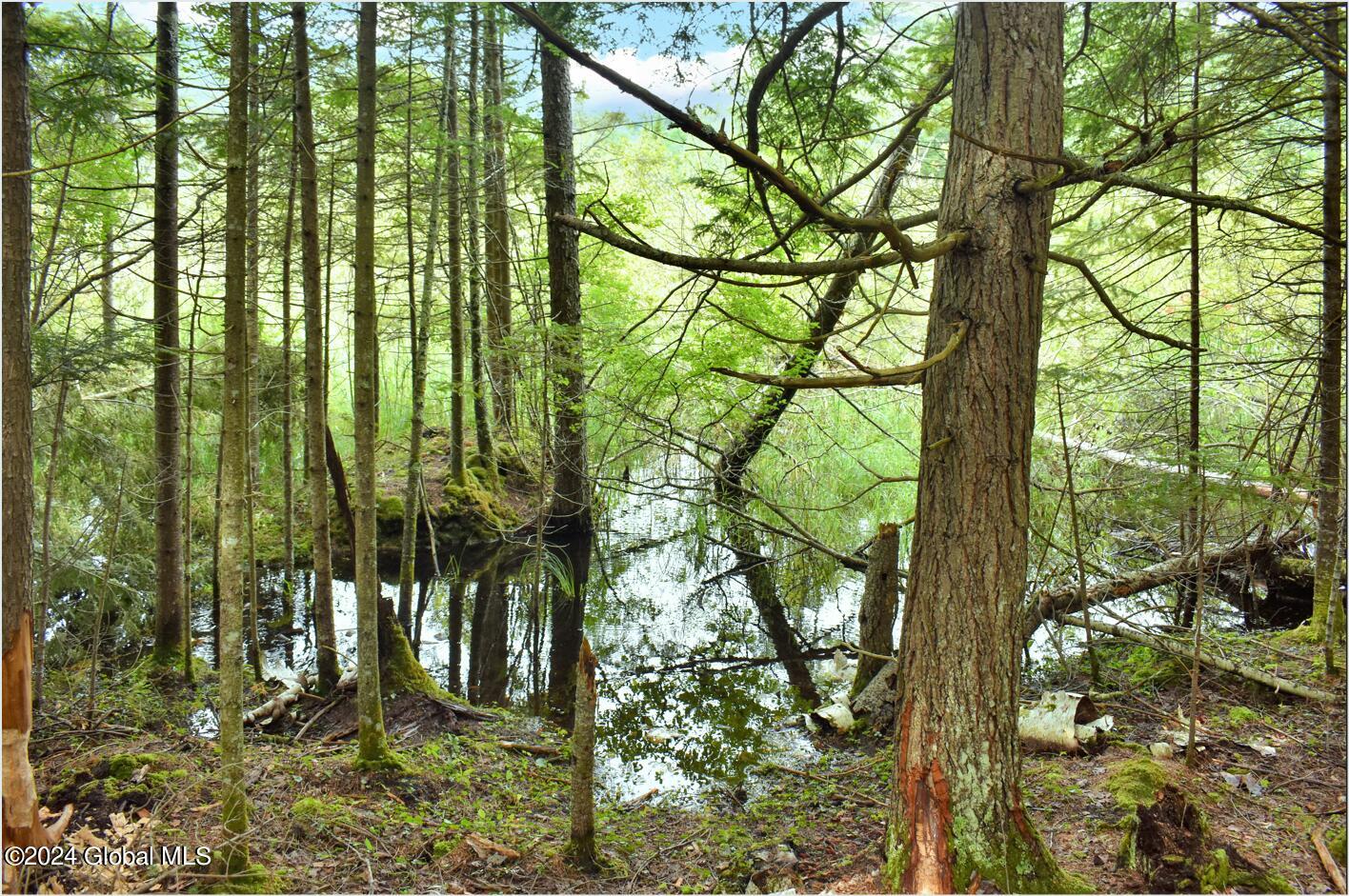 3-4 Adirondack Heights Road Chestertown, NY 12817 - Photo 5 of 33 tt8