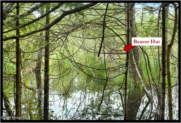 $89,500 | 3-4 Adirondack Heights Road, Chestertown, NY 12817