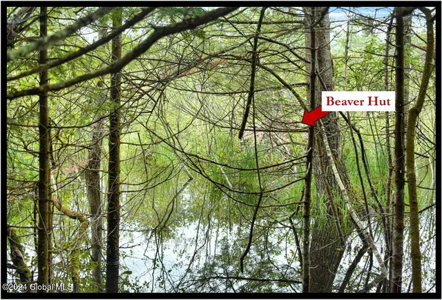 $89,500 | 3-4 Adirondack Heights Road, Chestertown, NY 12817