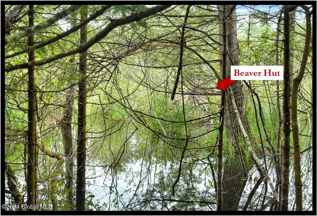 3-4 Adirondack Heights Road Chestertown, NY 12817 - Photo 6 of 33 Beaver Hut 1