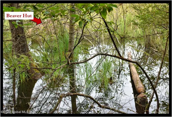 $89,500 | 3-4 Adirondack Heights Road, Chestertown, NY 12817