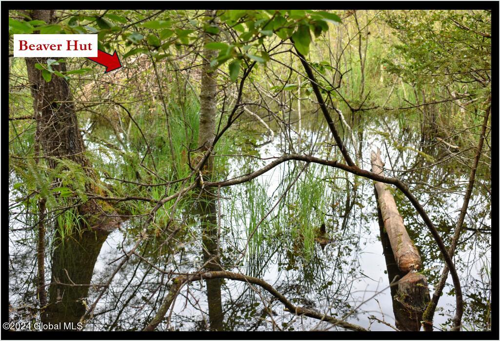 3-4 Adirondack Heights Road Chestertown, NY 12817 - Photo 7 of 33 Beaver Hut 2