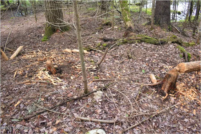 $89,500 | 3-4 Adirondack Heights Road, Chestertown, NY 12817