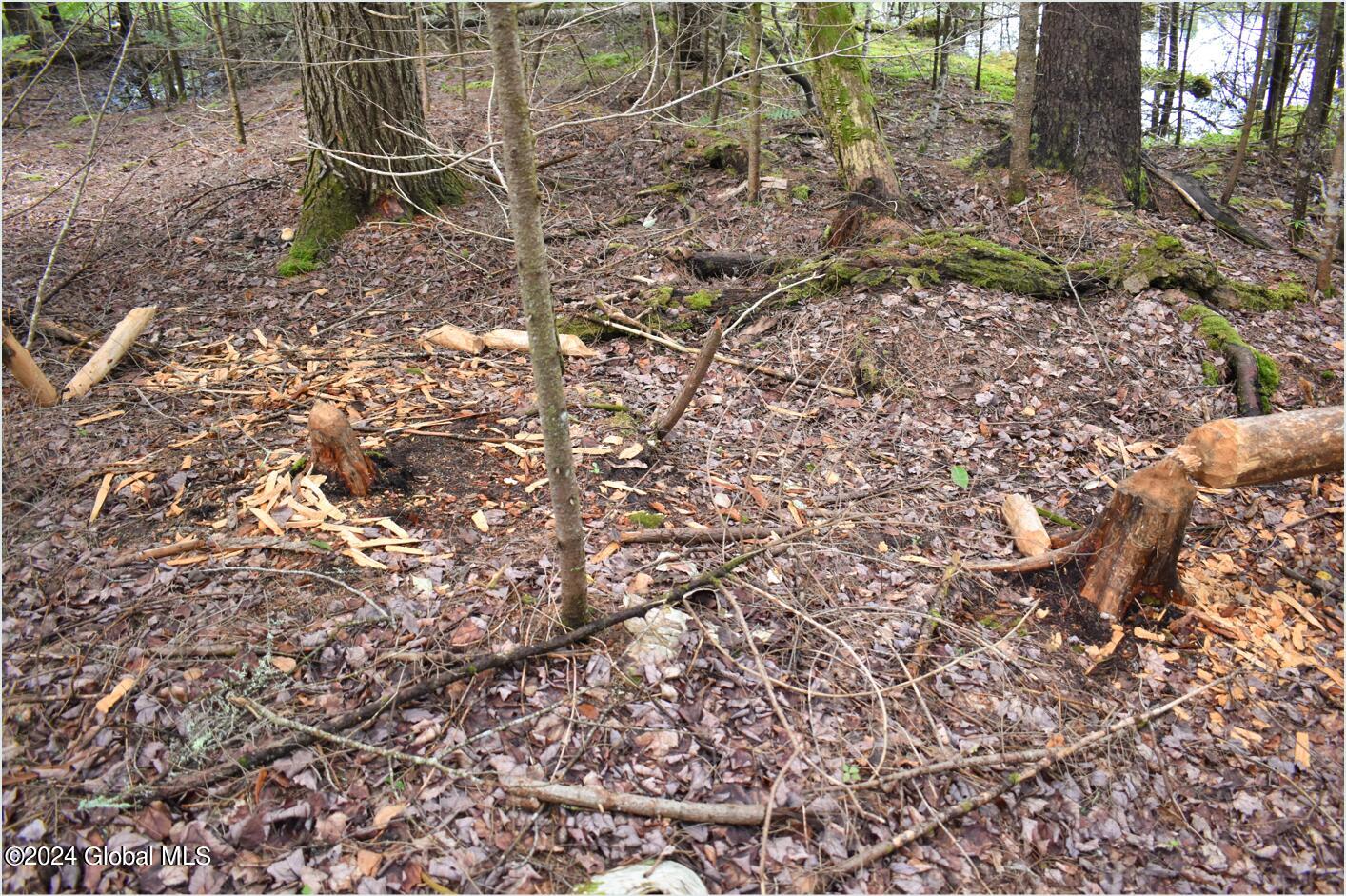 3-4 Adirondack Heights Road Chestertown, NY 12817 - Photo 8 of 33 tt10