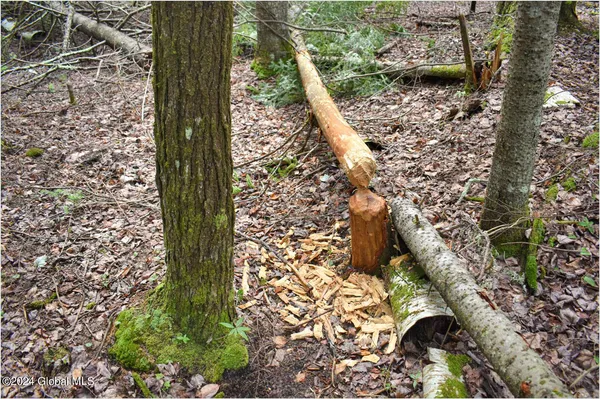 $89,500 | 3-4 Adirondack Heights Road, Chestertown, NY 12817