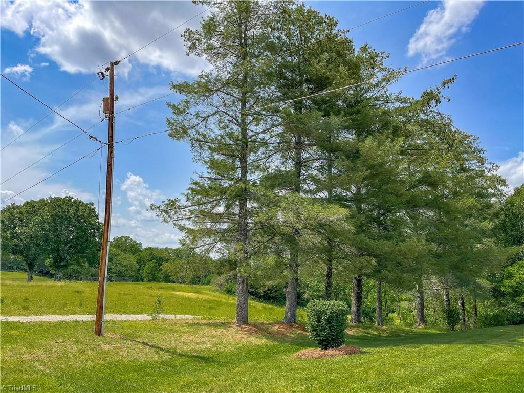 1442 William Fowler Road King, NC 27021 - Photo 4 of 31
