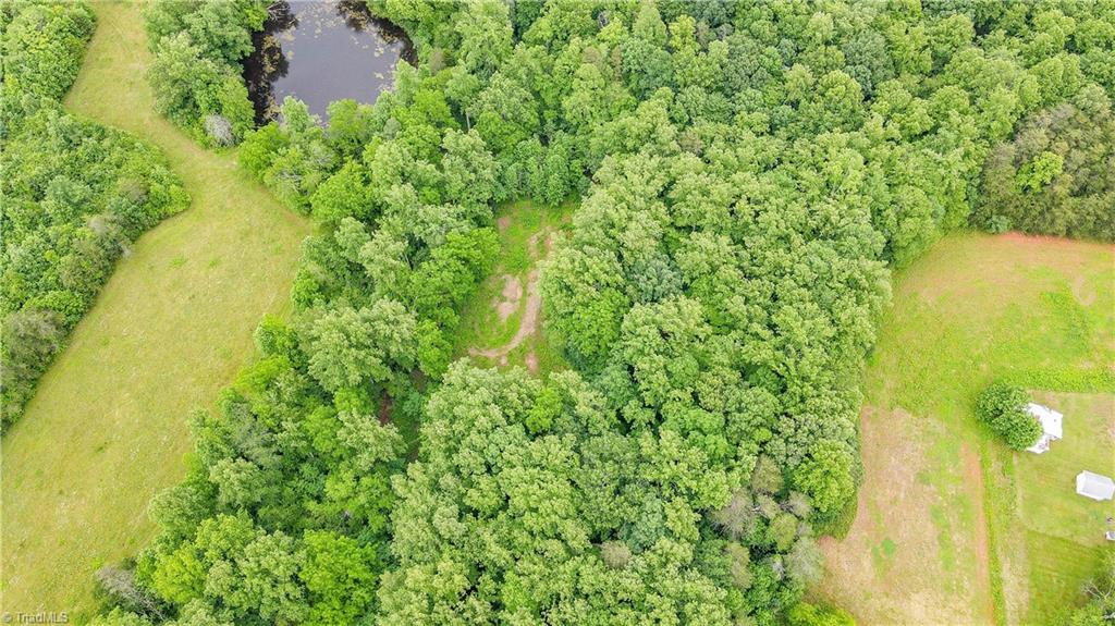 1442 William Fowler Road King, NC 27021 - Photo 5 of 31