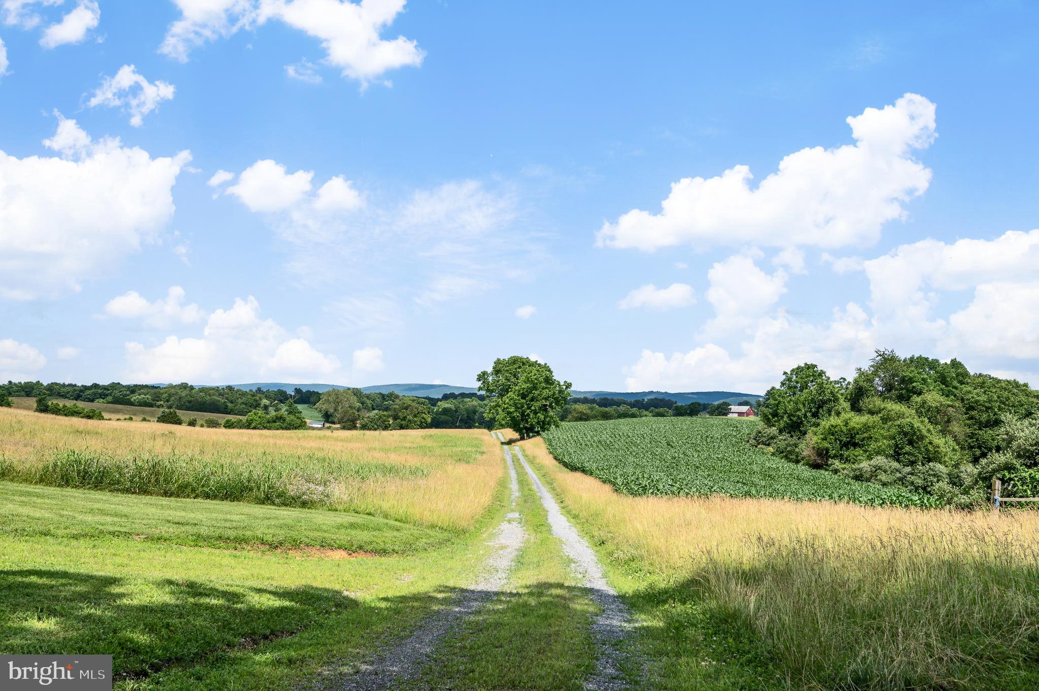 Parshall Berryville, VA 22611 - Photo 6 of 9 a view of a lake with a big yard