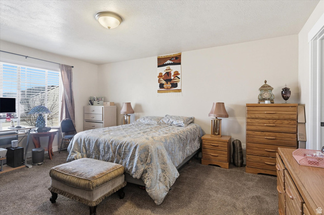 1084 South 740 East Logan, UT 84321 - Photo 7 of 23 Bedroom featuring dark carpet and a textured ceiling