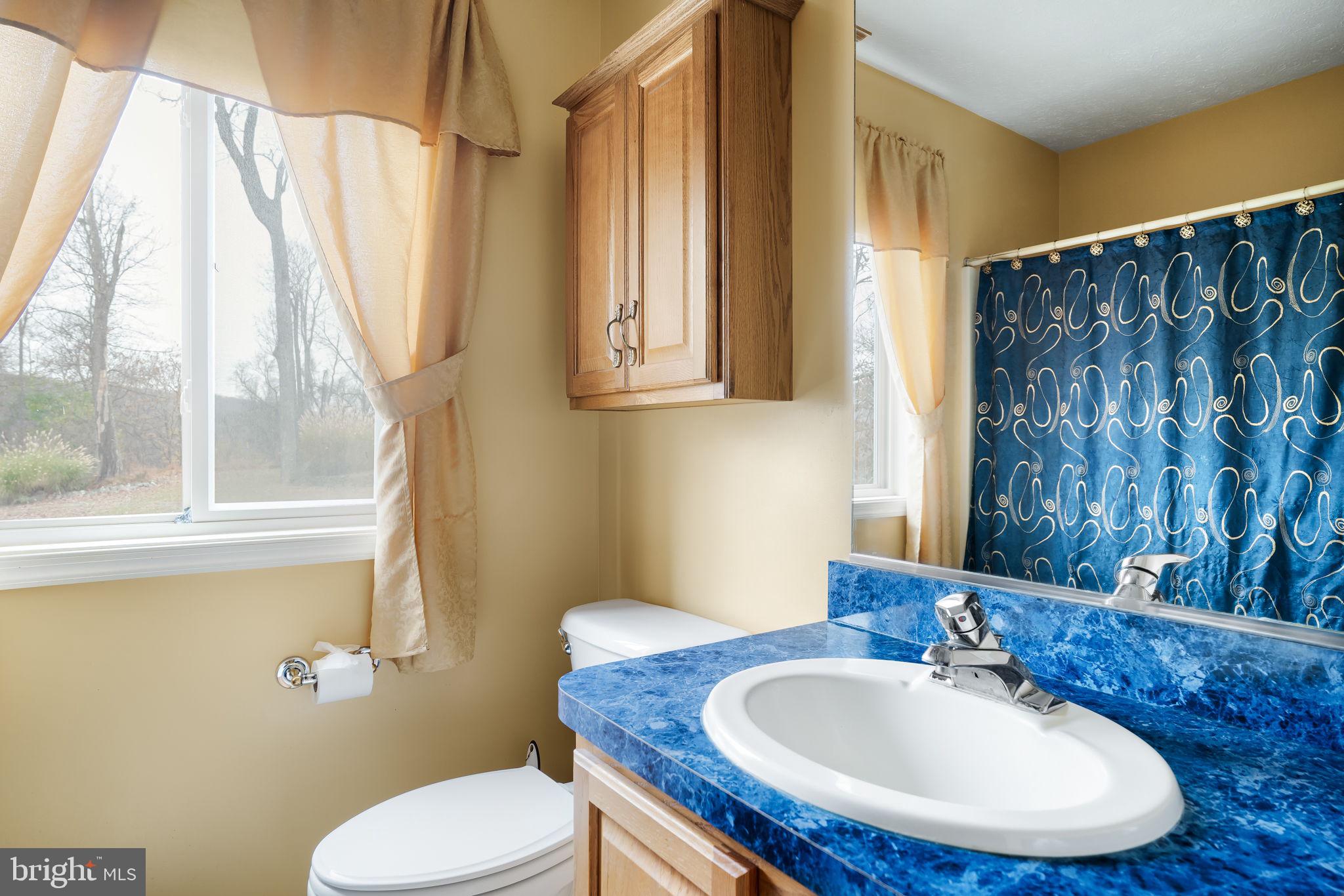 230 Greenfield Road Front Royal, VA 22630 - Photo 25 of 47 Full Hall Bath