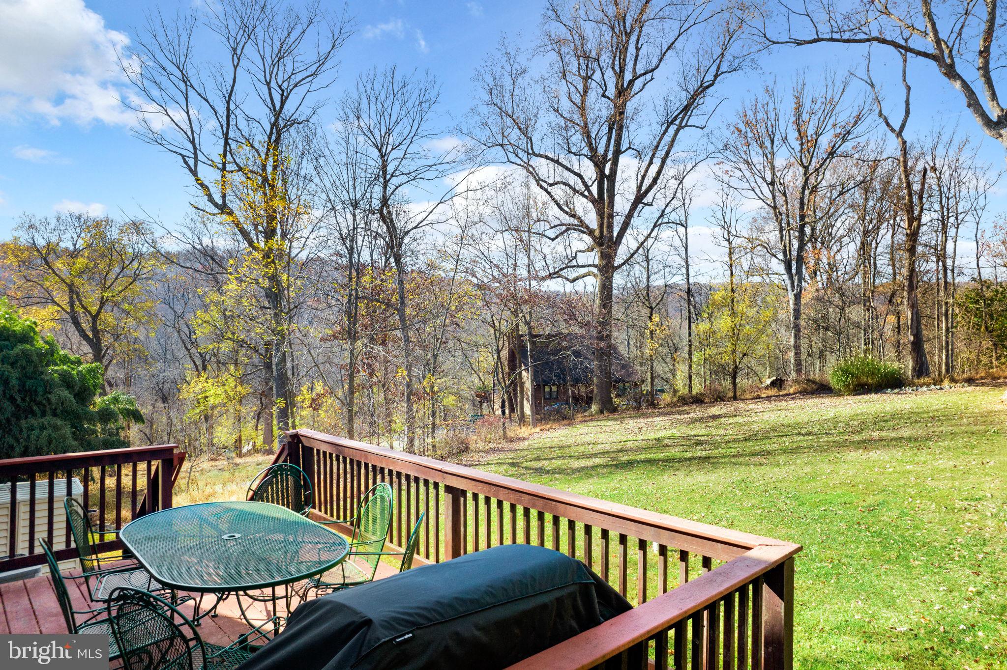 230 Greenfield Road Front Royal, VA 22630 - Photo 6 of 47