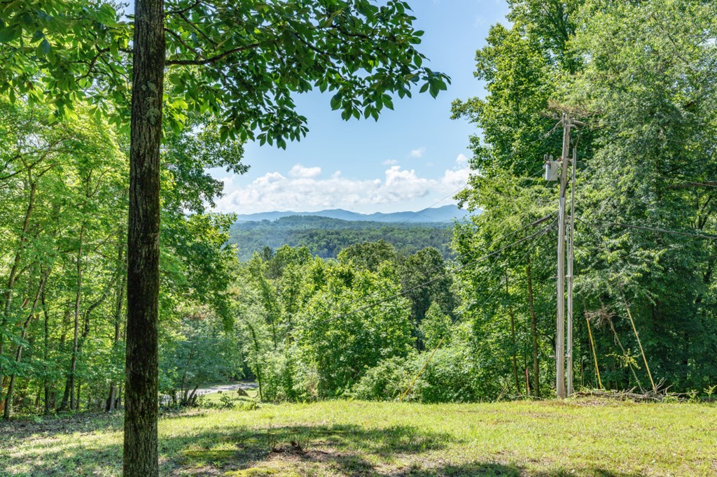 20 Smokey Ridge Lane Mineral Bluff, GA 30559 - Photo 2 of 25 Gallery Image 2