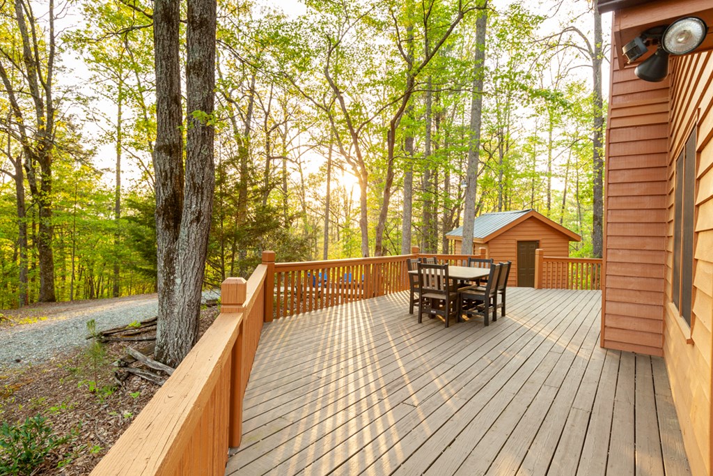 20 Smokey Ridge Lane Mineral Bluff, GA 30559 - Photo 25 of 25 Gallery Image 25