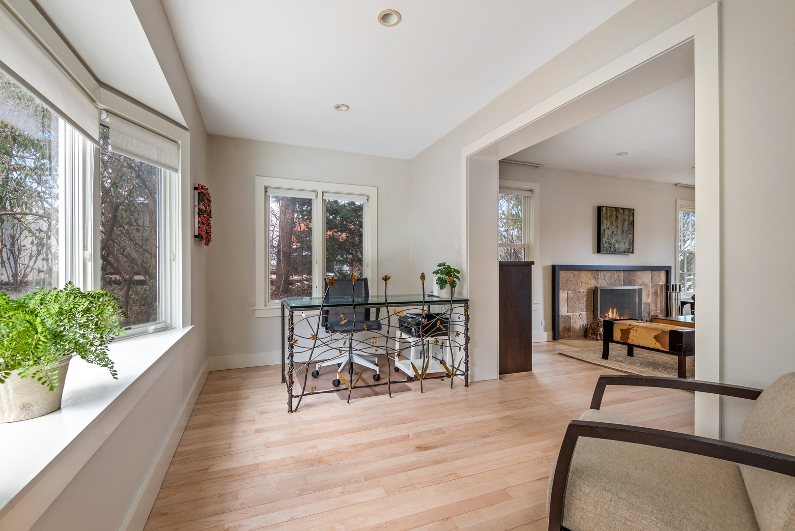 700 Park Drive Kenilworth, IL 60043 - Photo 16 of 34 a view of a livingroom with furniture and a potted plant