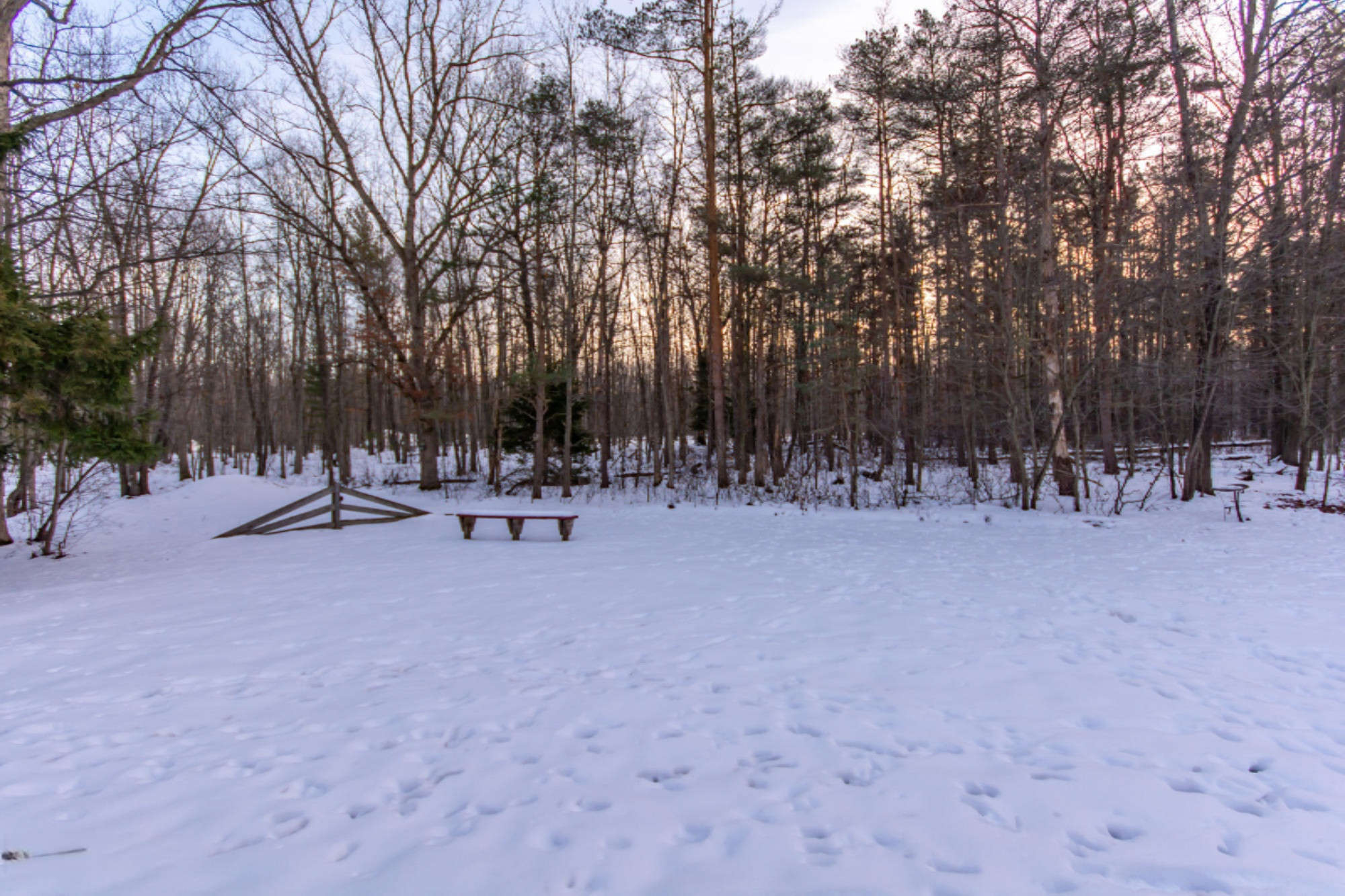 2475 Steinberg Road Manistee, MI 49660 - Photo 8 of 33 DSC_0056