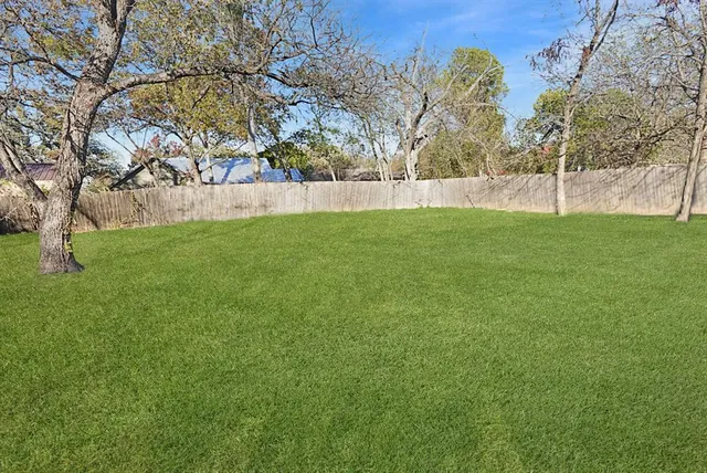 a view of yard with trees