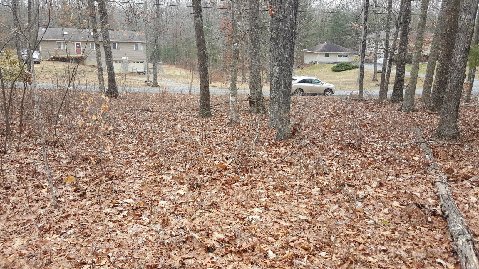 Broken Star Acres Road Lewisburg, WV 24901 - Photo 4 of 8 Gallery Image 4