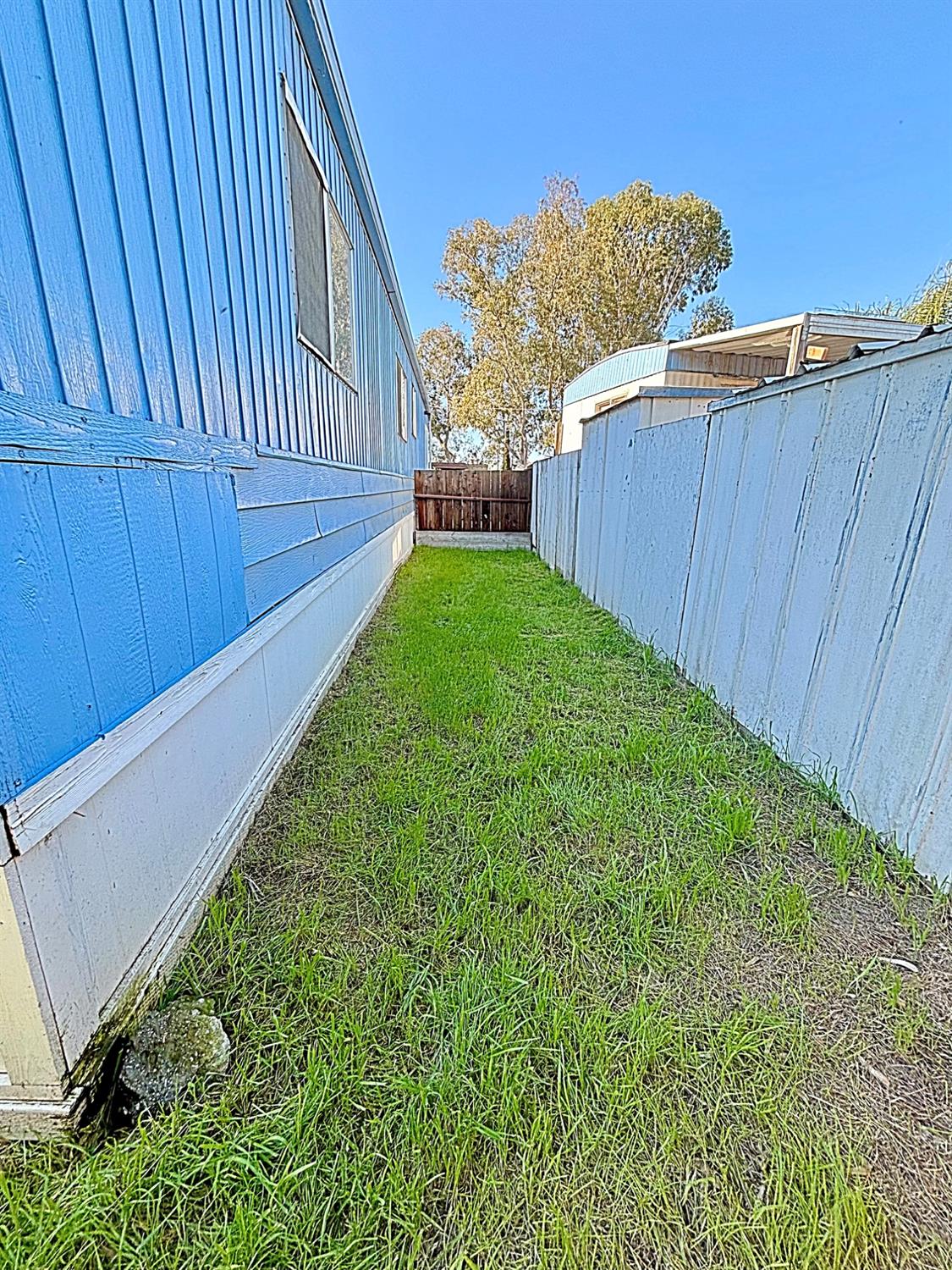 260 West Comet Road Gustine, CA 95322 - Photo 19 of 20 a view of a backyard