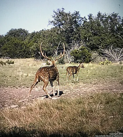 $875,000 | 1900 Private Road 2224, Sonora, TX 76950