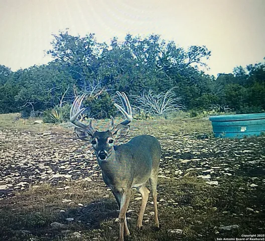 $875,000 | 1900 Private Road 2224, Sonora, TX 76950