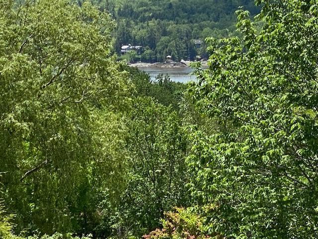 60 Ellsworth Road, Unit 8 Blue Hill, ME 04614 - Photo 31 of 36 20