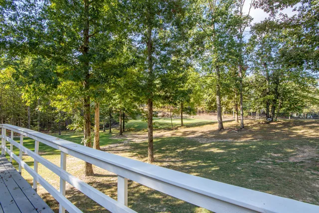 a view of a yard with large trees
