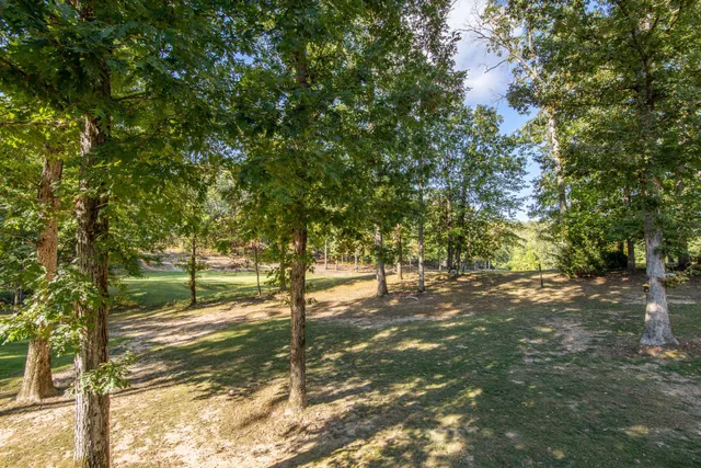 a view of a yard with plants and trees