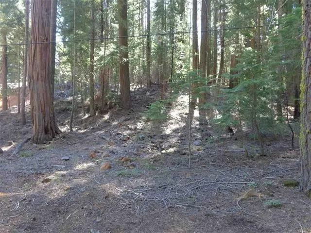 $29,500 | 411 Big Meadows Road, Canyon Dam, CA 95923