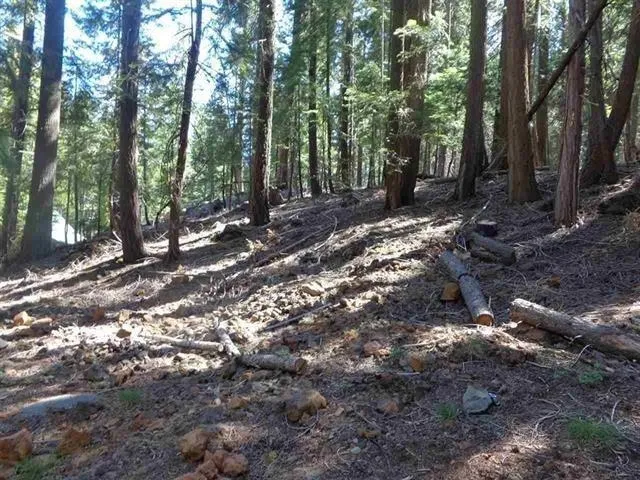 $29,500 | 411 Big Meadows Road, Canyon Dam, CA 95923