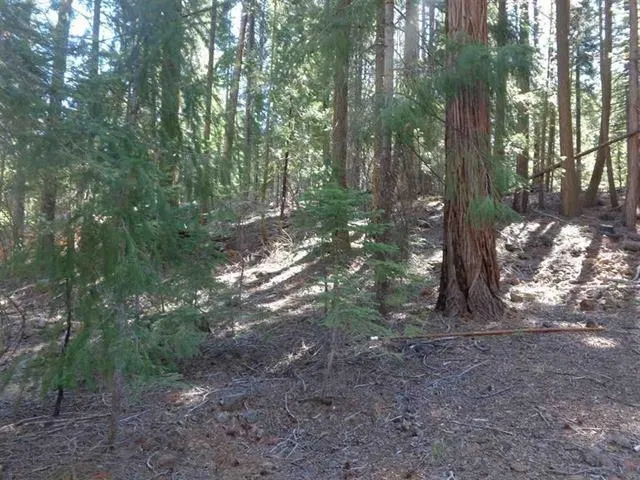 $29,500 | 411 Big Meadows Road, Canyon Dam, CA 95923