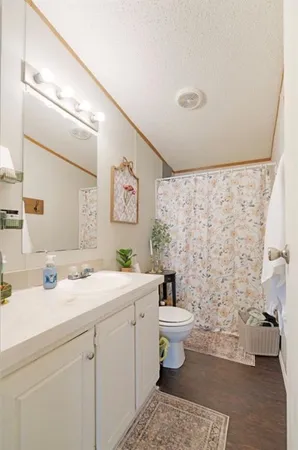 a bathroom with a sink toilet and a mirror
