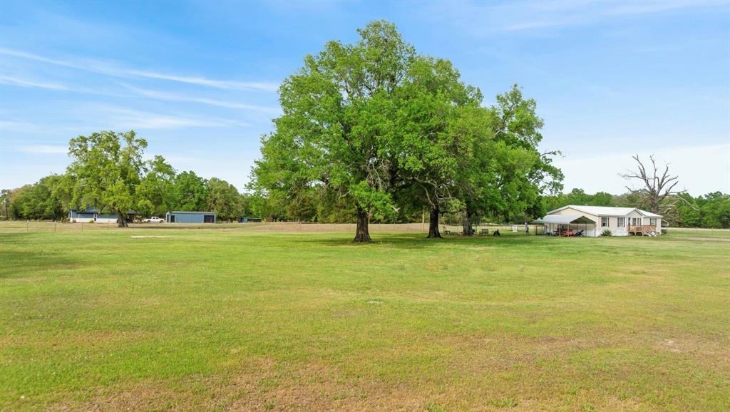 81 County Road Blossom, TX 75416 - Photo 17 of 26