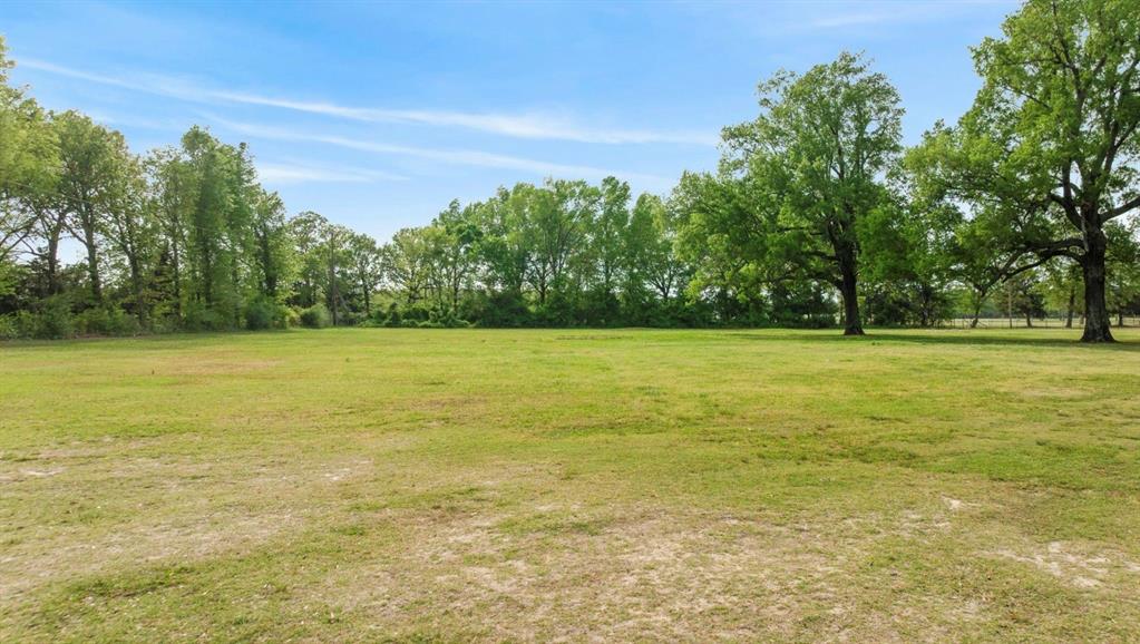 81 County Road Blossom, TX 75416 - Photo 18 of 26