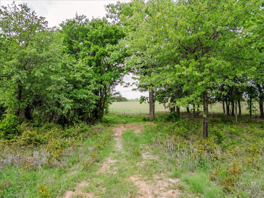 4313 Bethel Road Weatherford, TX 76087 - Photo 20 of 23