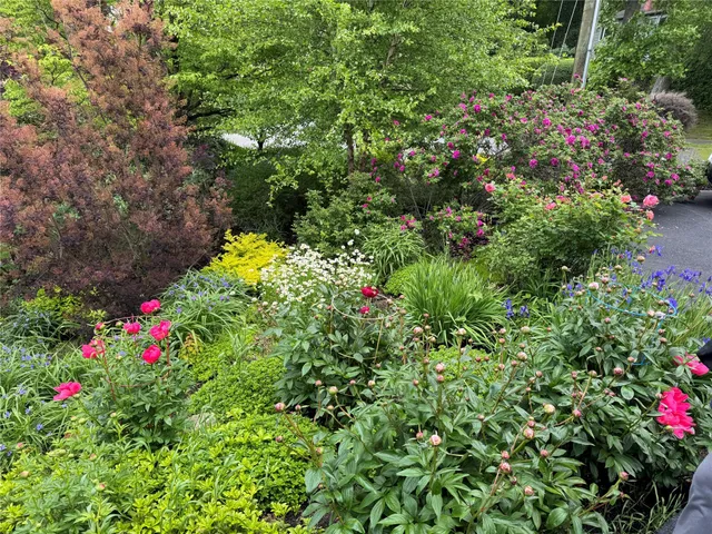 a view of a flower in a garden