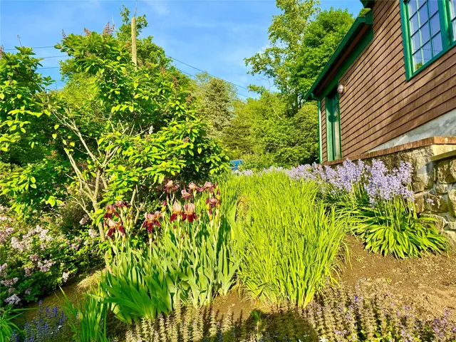a backyard of a house with lots of green space