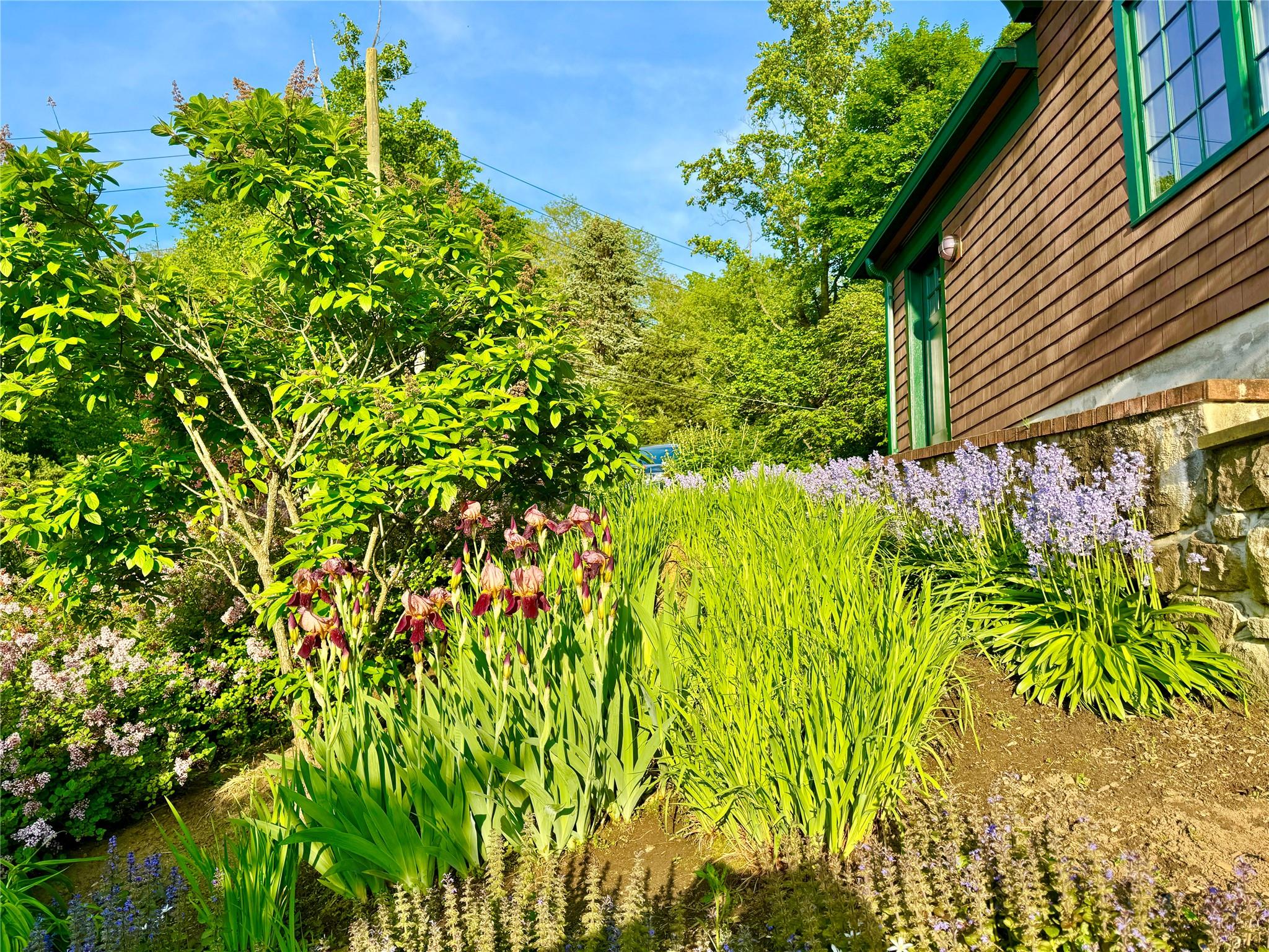 24 Country Club Lane Briarcliff Manor, NY 10510 - Photo 38 of 42 a backyard of a house with lots of green space