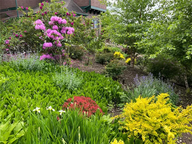 a view of a flower in a garden