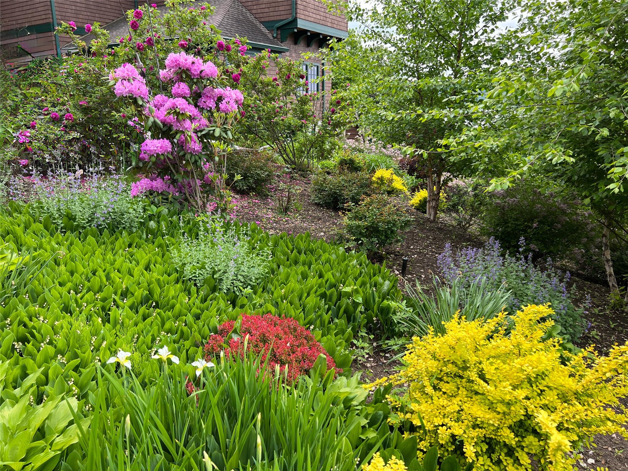 24 Country Club Lane Briarcliff Manor, NY 10510 - Photo 39 of 42 a view of a flower in a garden
