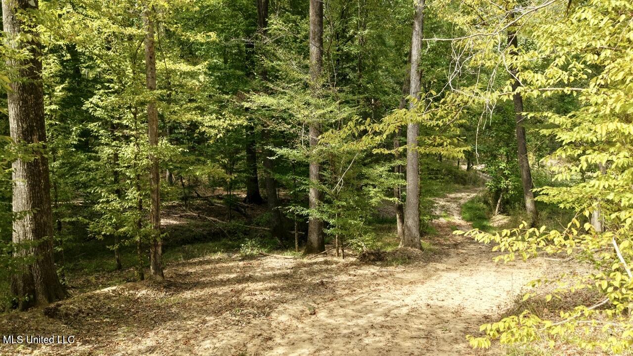 1 Abernathy Road Flora, MS 39071 - Photo 11 of 22 dji_fly_20250922_142602_0211_17585697272